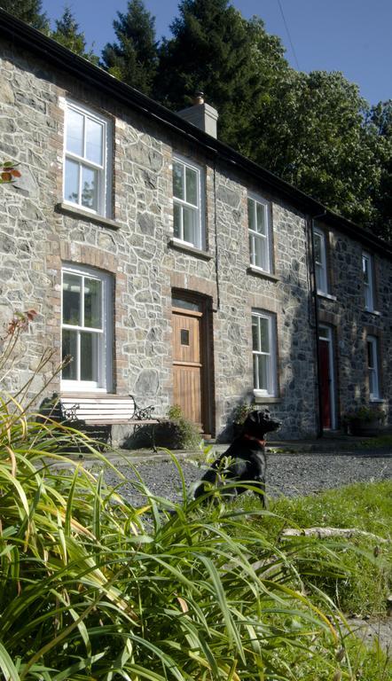 Bronfelin & Troed-Y-Rhiw Holiday Cottage Llanwrtyd Wells Zewnętrze zdjęcie